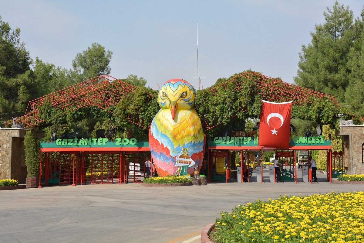 Gaziantep Hayvanat Bahçesi Akşam Işıklandırması ve Araçla Ulaşım Rehberi